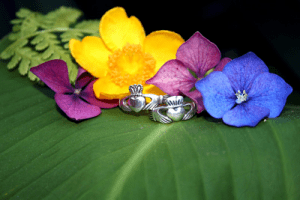 Claddagh El Anillo Del Amor Y La Amistad Eterna El Tr Bol De